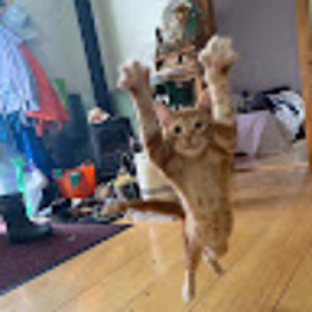 Meet your Posher, Sara